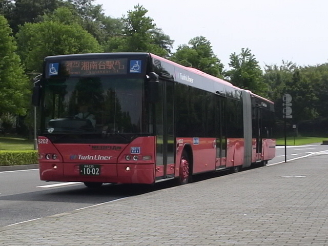 _ޒoX lIv N4421 摜