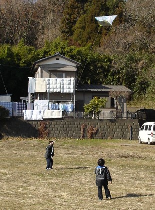 2008N16
