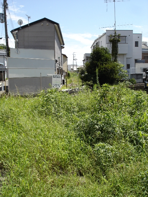 IBS Vw 摜